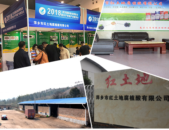 樂(lè)清市超力起重電器有限公司